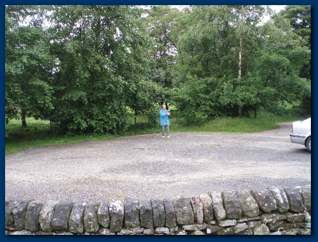 600x449 pixels (197K)